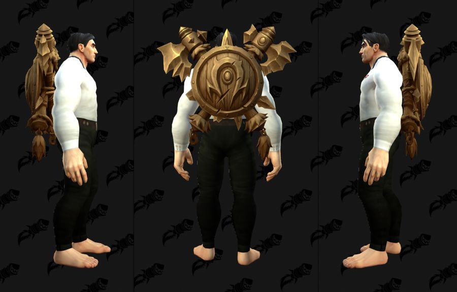 워크래프트 30주년 기념 월드 투어 굿즈 및 인게임 아이템들_6.jpg