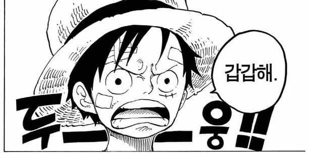 원피스 "동경은 이해에서 가장 먼 감정"_1.jpg