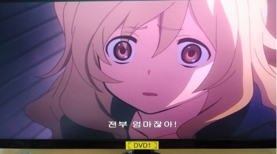 의외로 사람들이 잘못 기억하고 있는 토라도라! 장면_3.png