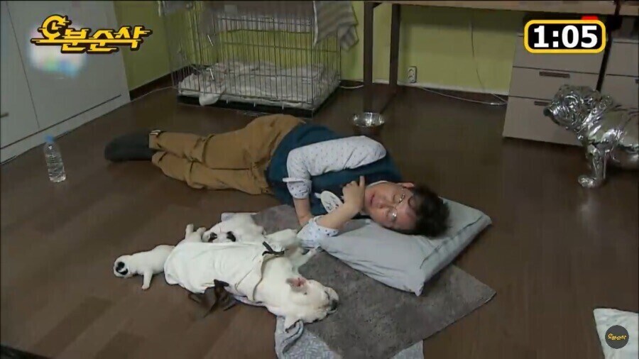 대한민국에서 이경규만 가능했던것_7.jpg