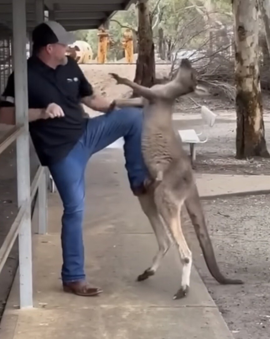 ''마 니 뭔데 껴드노 여자 앞이라고 가오잡나?''_2.jpg
