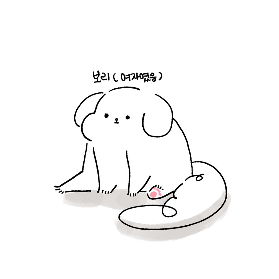 [냥뇽툰] 성별 알아내는 만화.manhwa_11.jpg