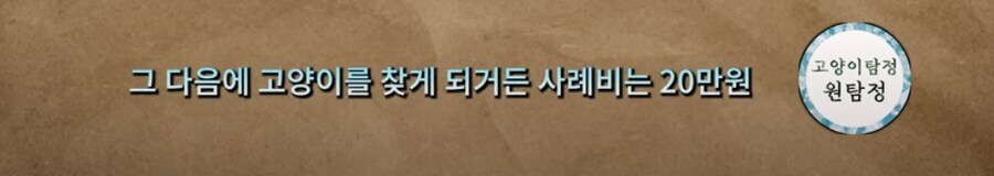 고양이 사례비 먹튀 근황_2.jpg