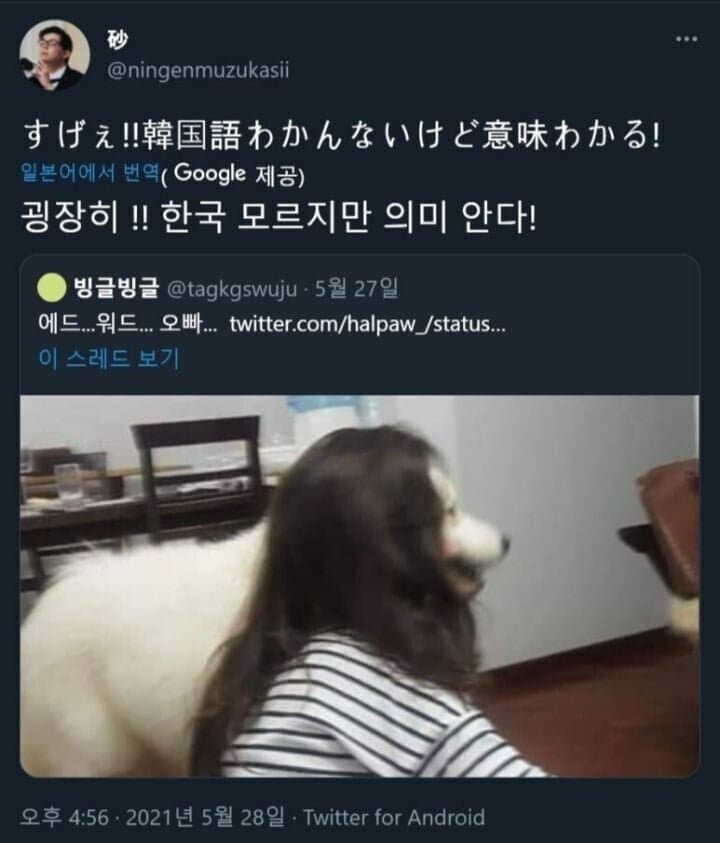 한글은 모르지만 무슨 뜻인지 알겠습니다.jpg_3.jpg