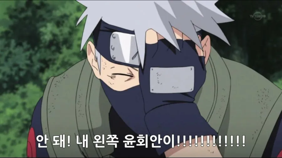 사실 인터넷짤로 캐릭터 성격을 파악하면 안됨_3.webp