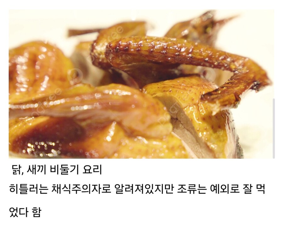 히틀러가 살아생전 좋아한 음식들.jpg_6.jpg