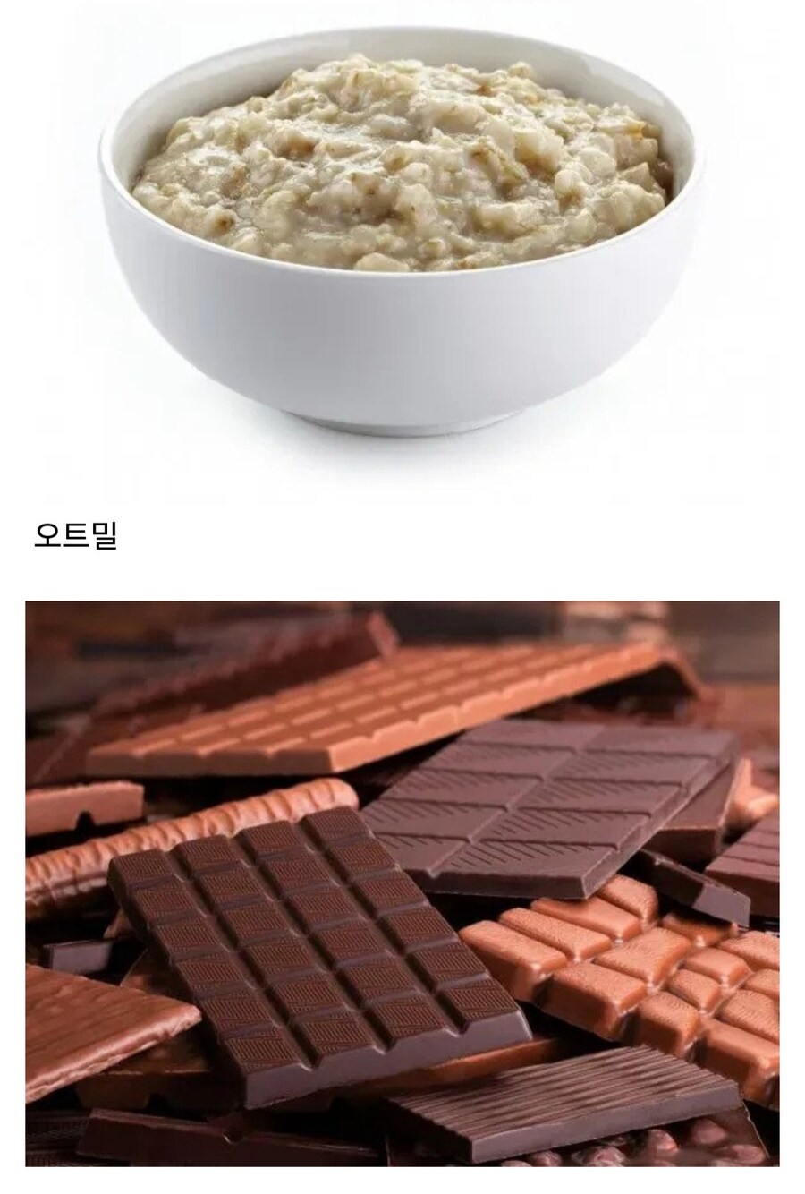 히틀러가 살아생전 좋아한 음식들.jpg_9.jpg