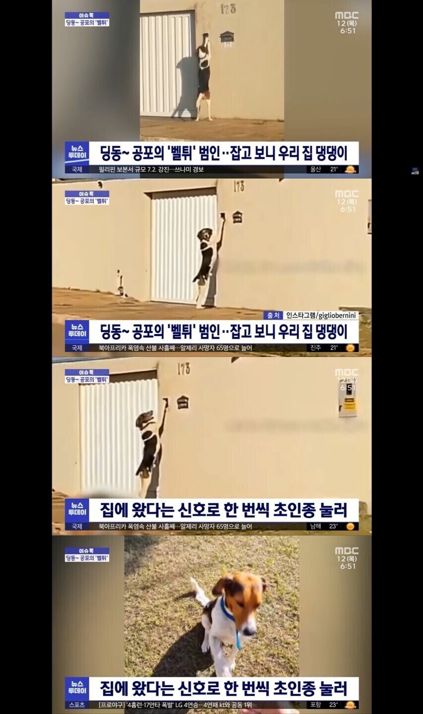 우리 집 벨튀범 잡고 보니.jpg_1.jpg