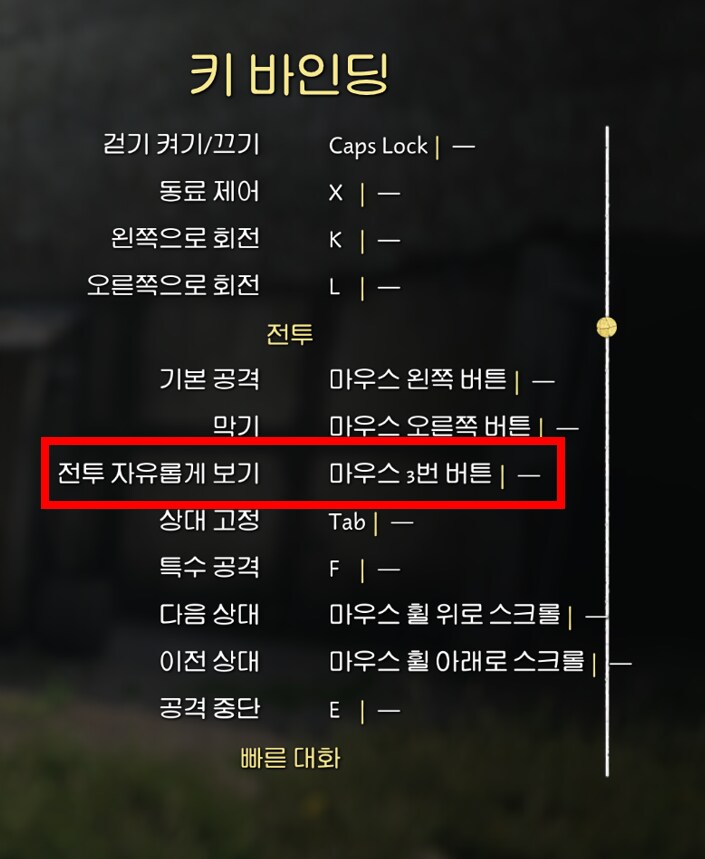 전투 자유롭게 보기(마우스 3번 버튼)가 뭔가요?_1.png
