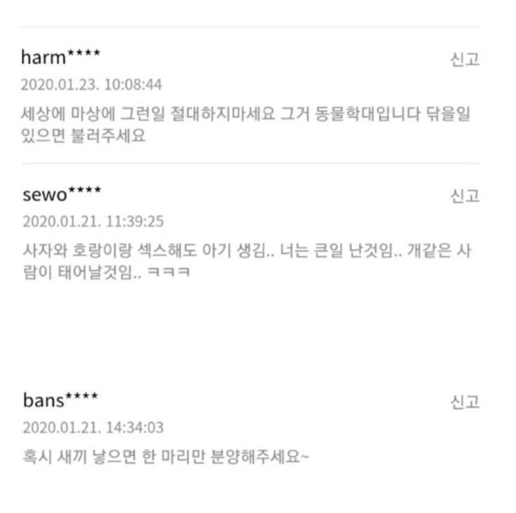 강아지 정액을 만진 여자의 다급한 질문_2.webp