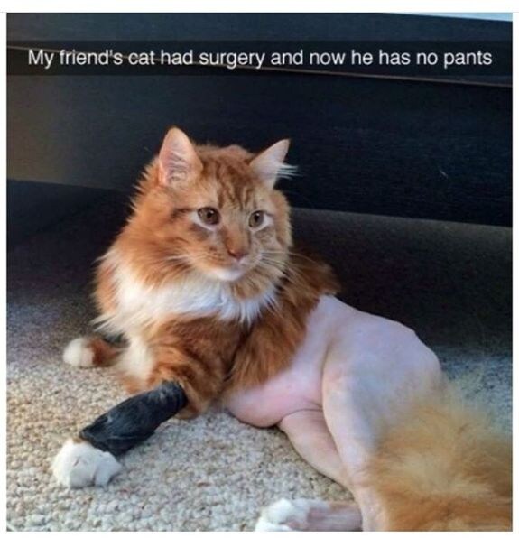 하의실종 분홍속살_1.jpg