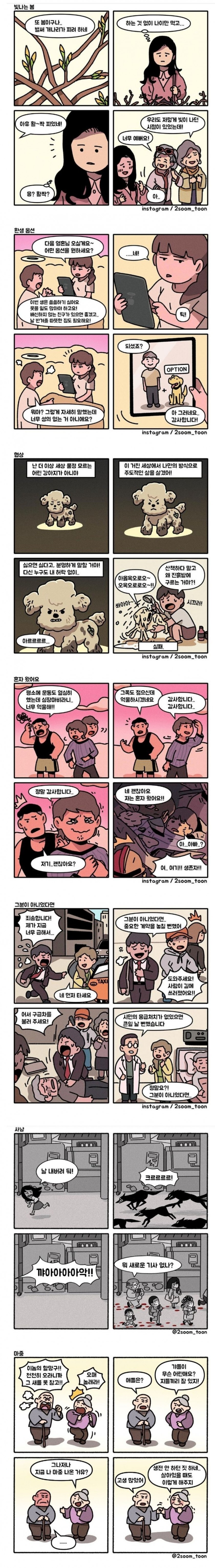 이시간에 어울리는 네컷만화 모음_1.jpg