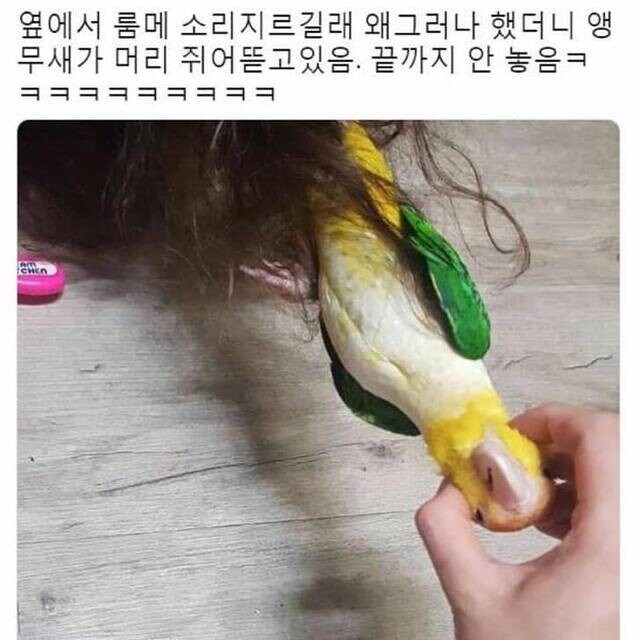 서브웨이 포장지_1.jpg