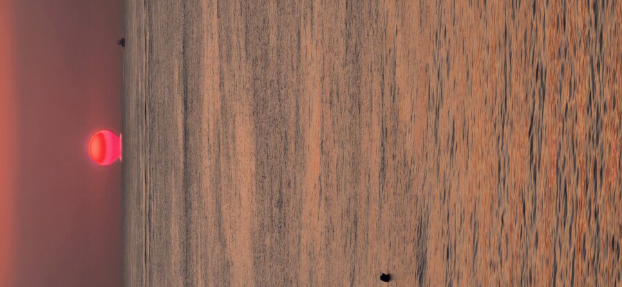 미세먼지 덕분에 좋은사진을 찍었어_3.jpg