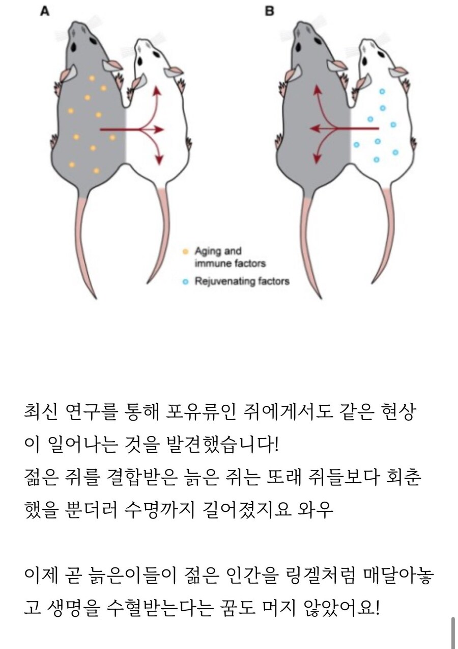 피주머니가 진짜 통하네_1.jpg