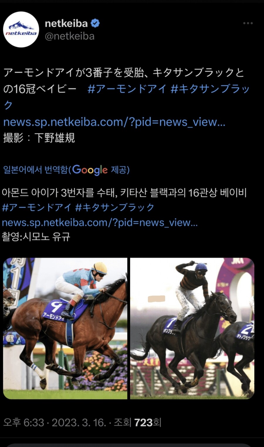 말딸 야짤이 금지된 이유_3.jpg