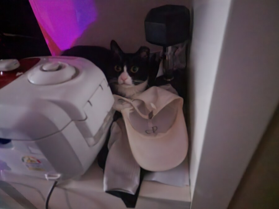 우리집 고양이 보고 출근해_35.jpg