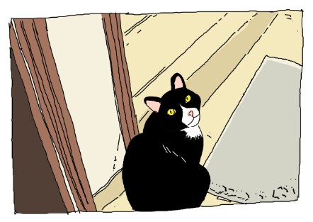 우리집 고양이 보고 출근해_40.png