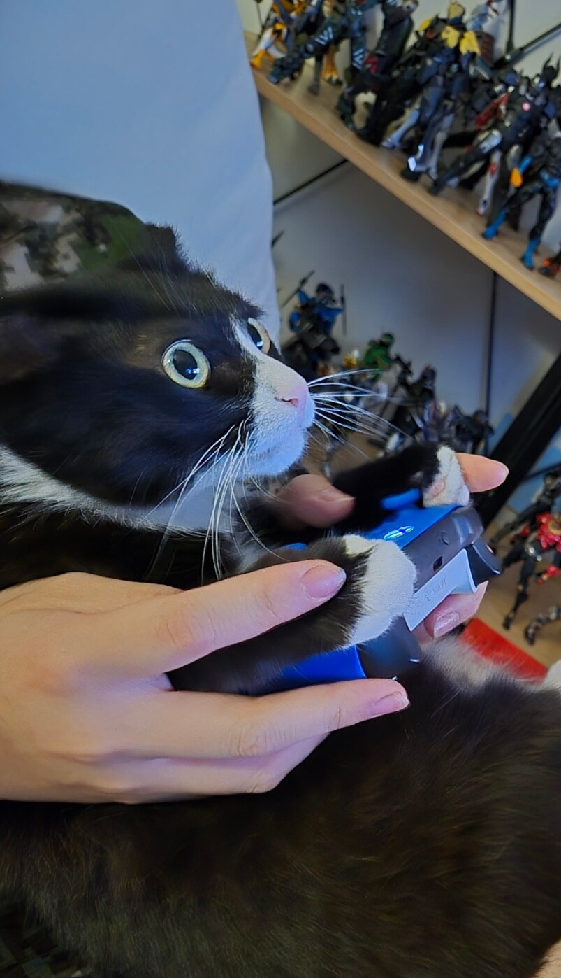 우리집 고양이 보고 출근해_44.jpg