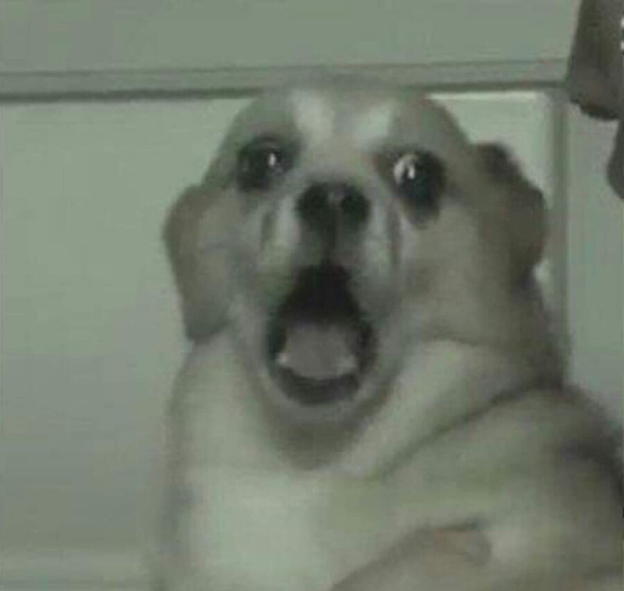 강스포 ) [미키17] 선발대들이 미국 논란을 걱정하는 이유_5.jpg