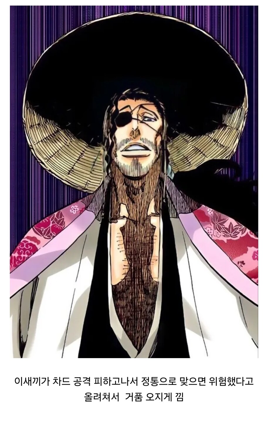 블리치 차드 거품설의 원인_1.jpg