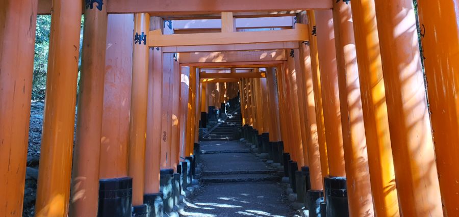 오사카 여행 4번째- 교토 깊숙히? 탐방~ 마지막ㅠ -스압-_18.jpg