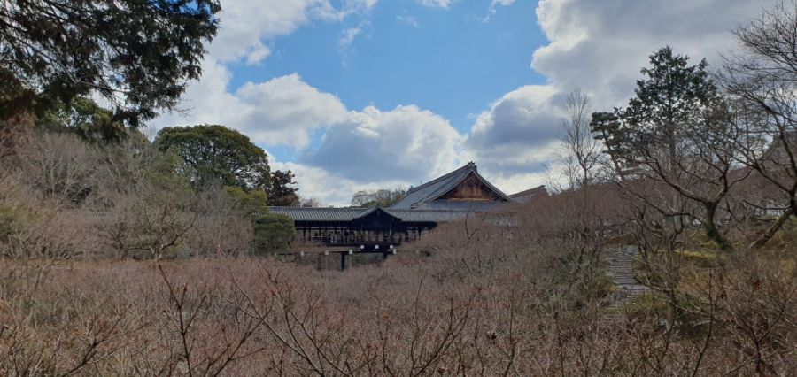 오사카 여행 4번째- 교토 깊숙히? 탐방~ 마지막ㅠ -스압-_30.jpg