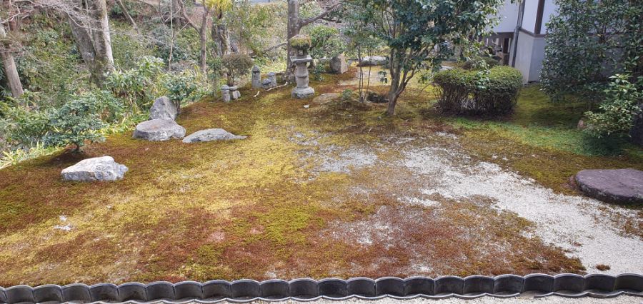 오사카 여행 4번째- 교토 깊숙히? 탐방~ 마지막ㅠ -스압-_45.jpg