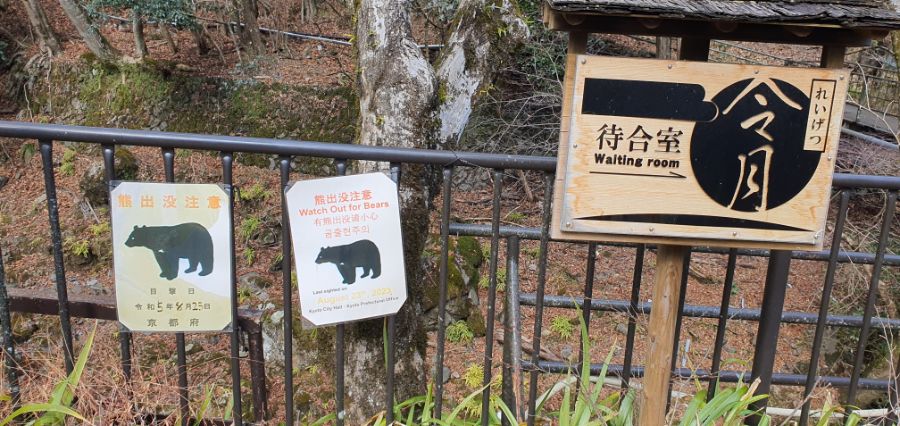 오사카 여행 4번째- 교토 깊숙히? 탐방~ 마지막ㅠ -스압-_51.jpg