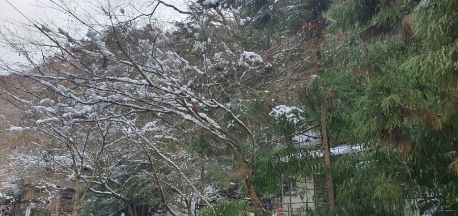 오사카 여행 4번째- 교토 깊숙히? 탐방~ 마지막ㅠ -스압-_55.jpg