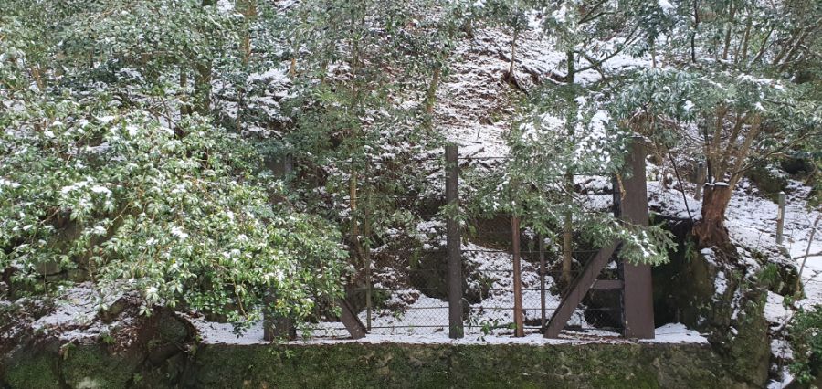 오사카 여행 4번째- 교토 깊숙히? 탐방~ 마지막ㅠ -스압-_57.jpg