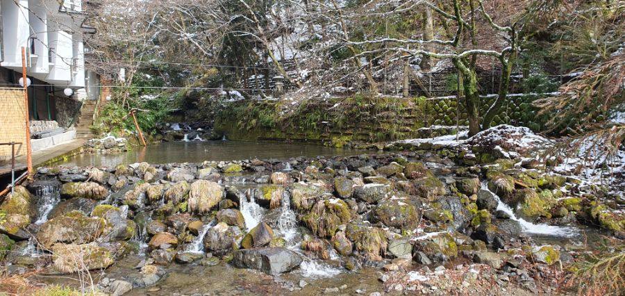 오사카 여행 4번째- 교토 깊숙히? 탐방~ 마지막ㅠ -스압-_71.jpg