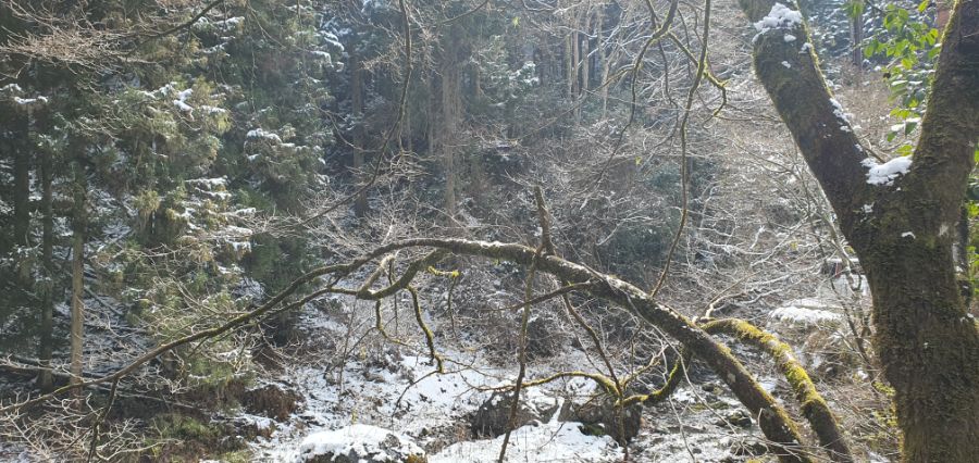 오사카 여행 4번째- 교토 깊숙히? 탐방~ 마지막ㅠ -스압-_76.jpg