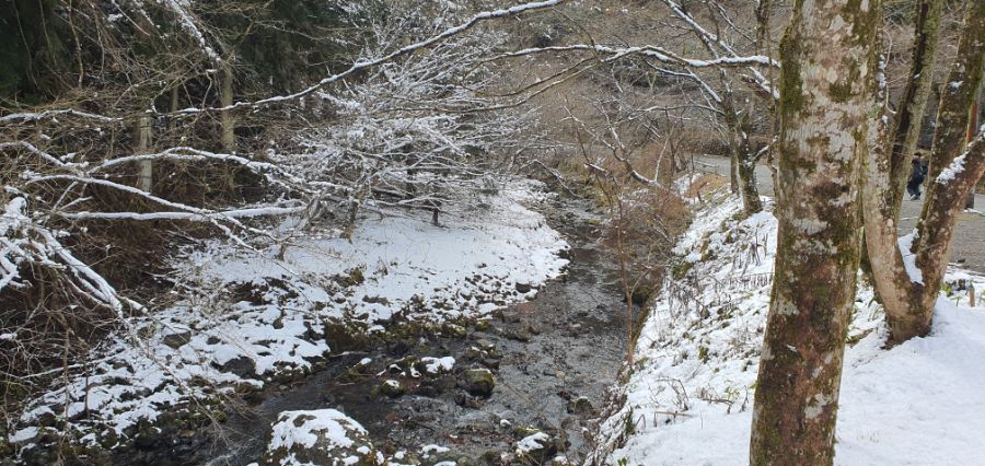 오사카 여행 4번째- 교토 깊숙히? 탐방~ 마지막ㅠ -스압-_79.jpg