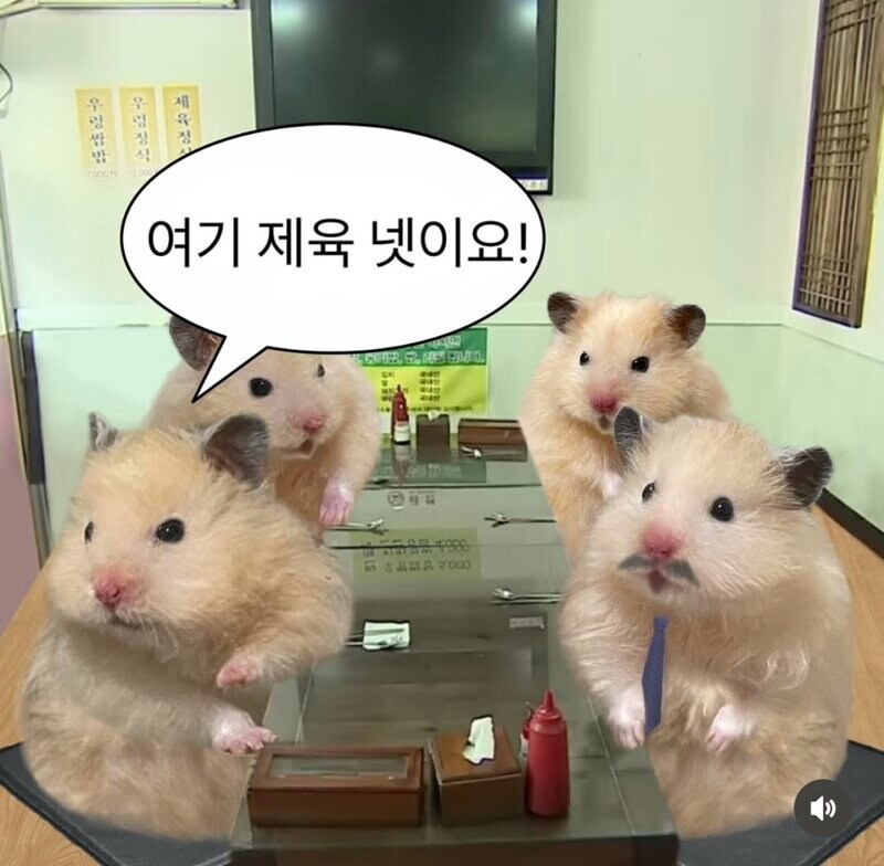 요즘 MZ들 통일하는법.jpg_3.jpg