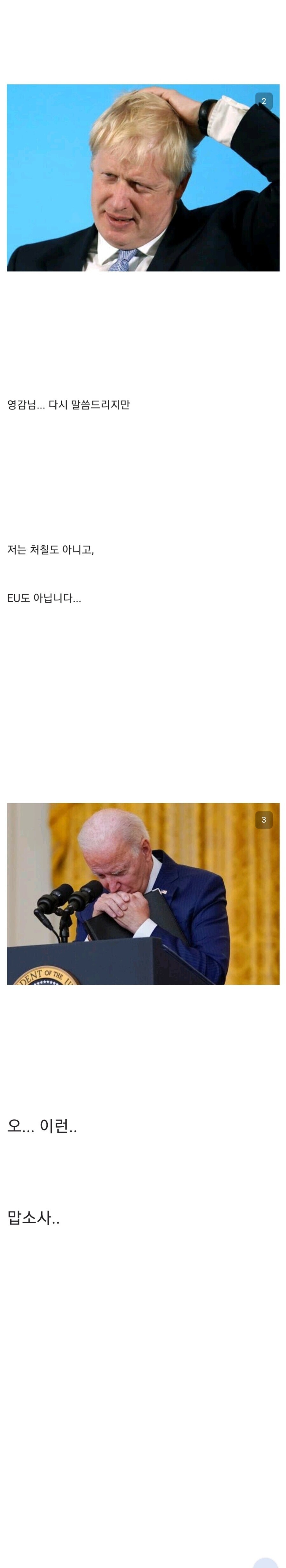 바이든 치매밈은 유쾌하기라도 했지_3.jpg