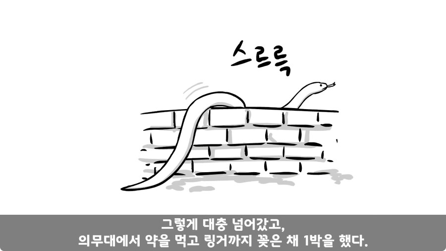 꾀병 부리고 3개월 만에 전역한 훈련병.jpg_34.jpg