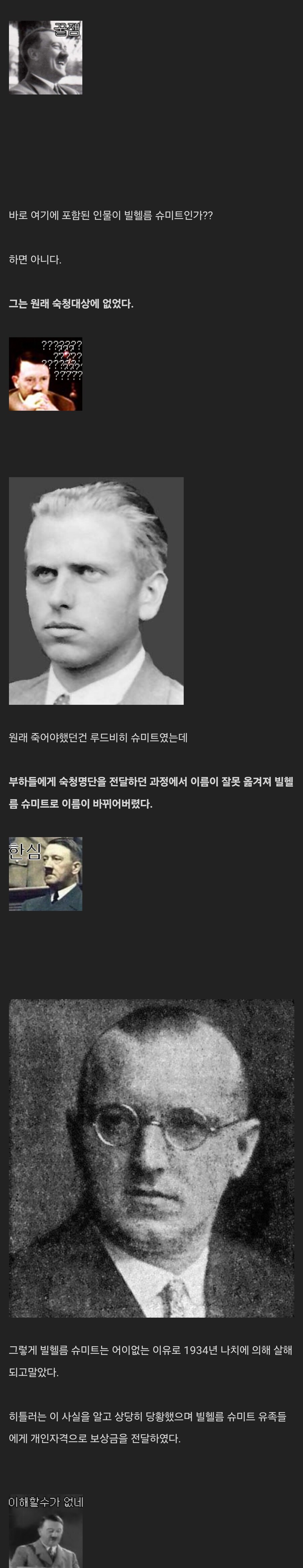 히틀러에게 억울하게 죽은 독일인.jpg_3.png