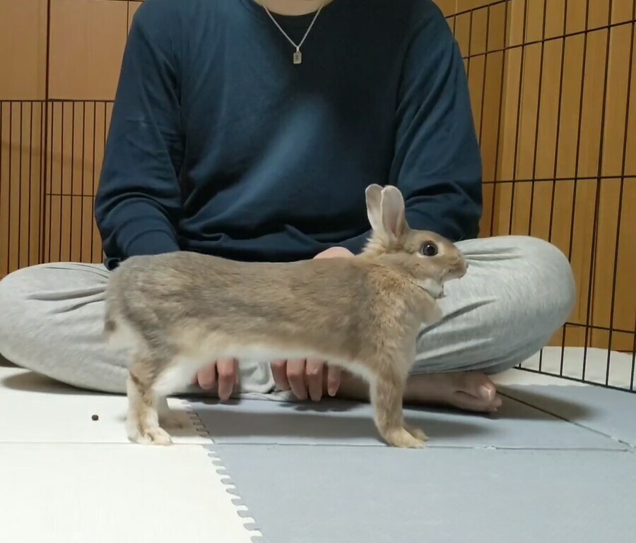 유게 이꼬라지로 만들거면 서유게 만들어라_8.jpg