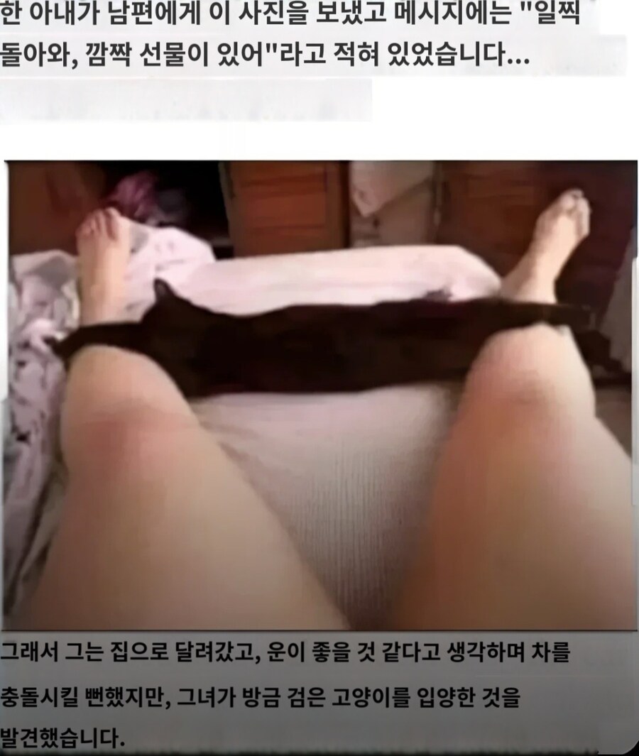 와이프가 깜짝 선물을 준비했다고 빨리 오라고 사진을 보냈다_1.jpg