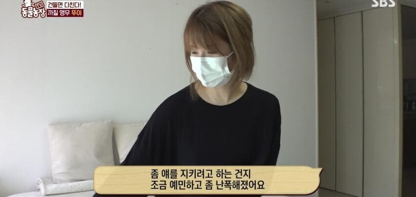 동물농장에 출연한 학계에 보고될 만한 초희귀 사례급 앵무새_3.jpg