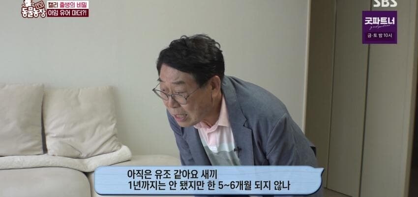 동물농장에 출연한 학계에 보고될 만한 초희귀 사례급 앵무새_26.jpg