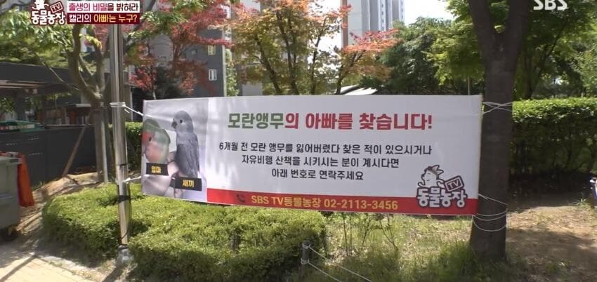 동물농장에 출연한 학계에 보고될 만한 초희귀 사례급 앵무새_38.jpg