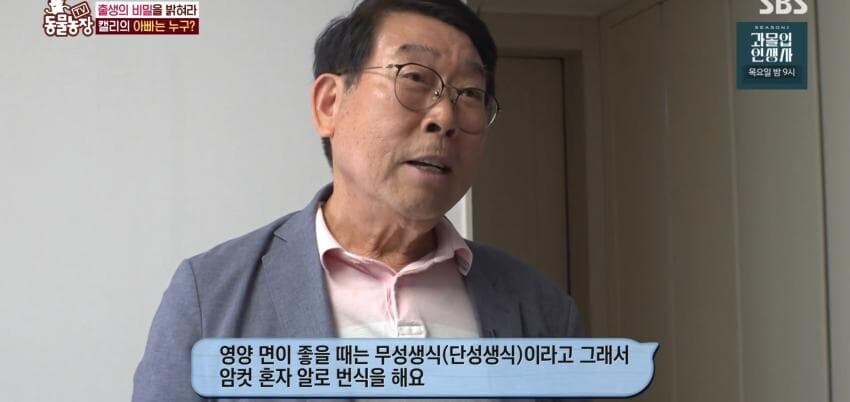 동물농장에 출연한 학계에 보고될 만한 초희귀 사례급 앵무새_48.jpg