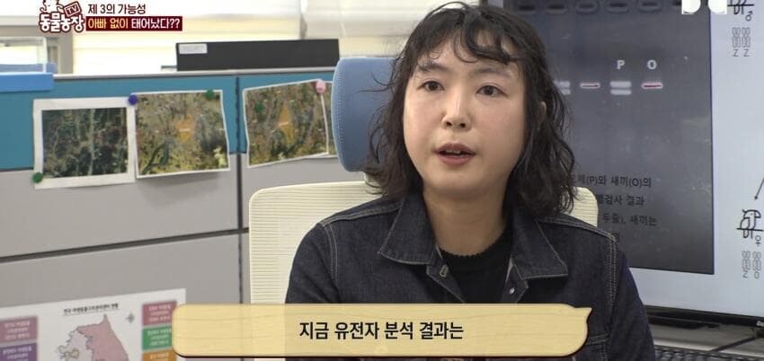 동물농장에 출연한 학계에 보고될 만한 초희귀 사례급 앵무새_52.jpg