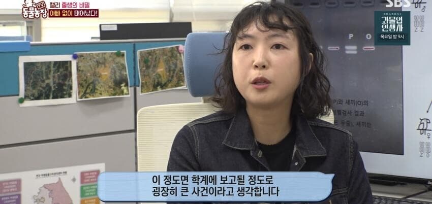 동물농장에 출연한 학계에 보고될 만한 초희귀 사례급 앵무새_62.jpg