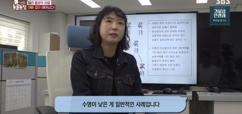동물농장에 출연한 학계에 보고될 만한 초희귀 사례급 앵무새_59.jpg
