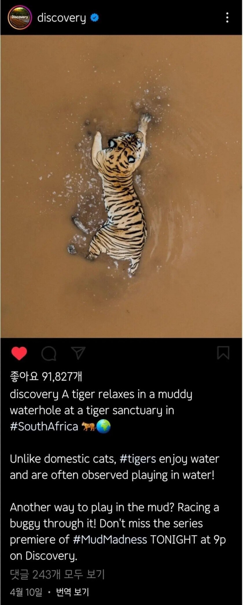 한반도 = 호랑이 모양이 틀린게 아닌 이유_1.jpg