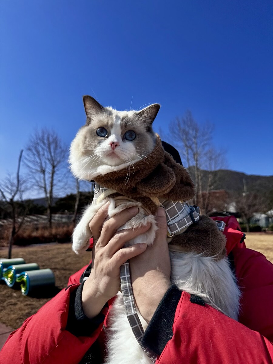 록희의 외출!_1.jpg