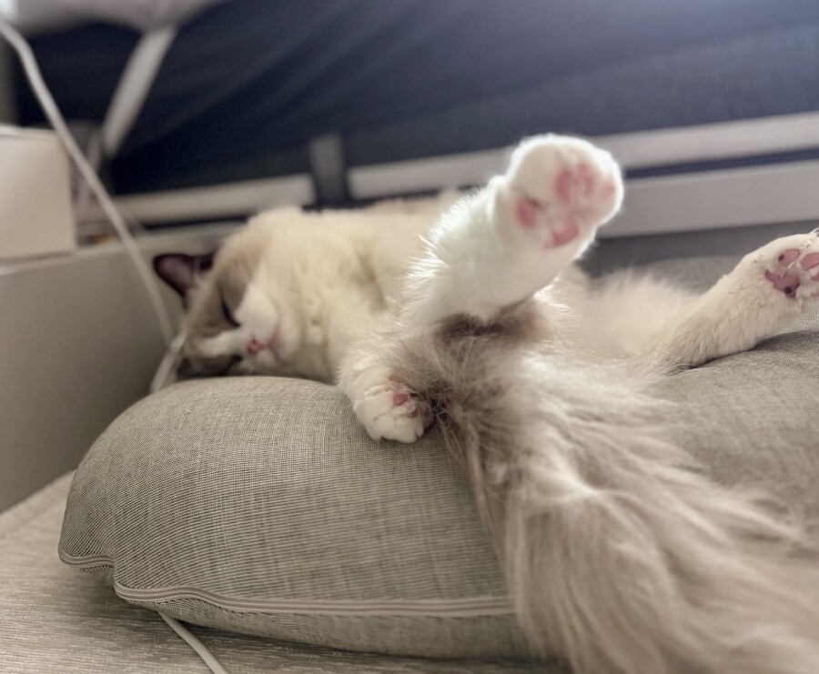 록희의 외출!_7.jpg